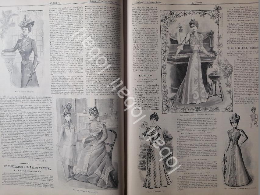 GACETA ANTIGUA DE MODAS 1899. " PAGINAS DE LA MODA " /57