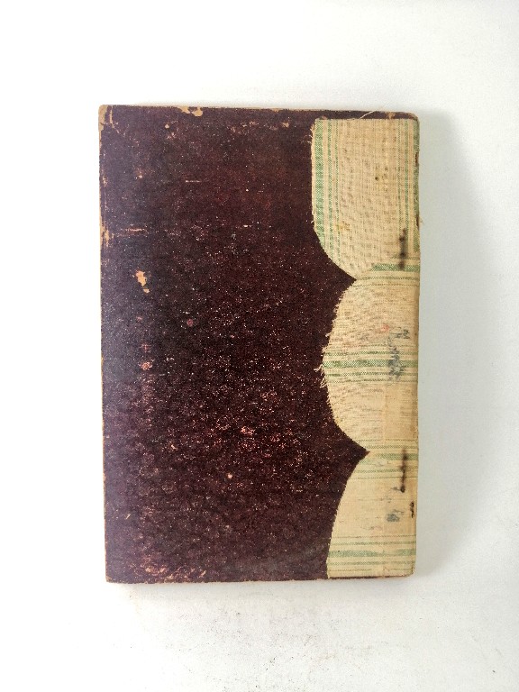 LIBRO ESCOLAR ANTIGUO. GIMNASTICA HIGIENICA, JOAQUIN LLADO. 1893 - Image 4