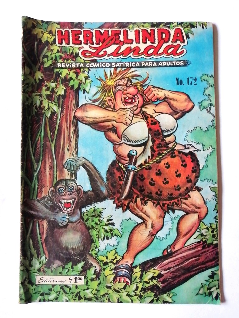 COMIC RETRO. HERMELINDA LINDA No. 172 / Año. 1969