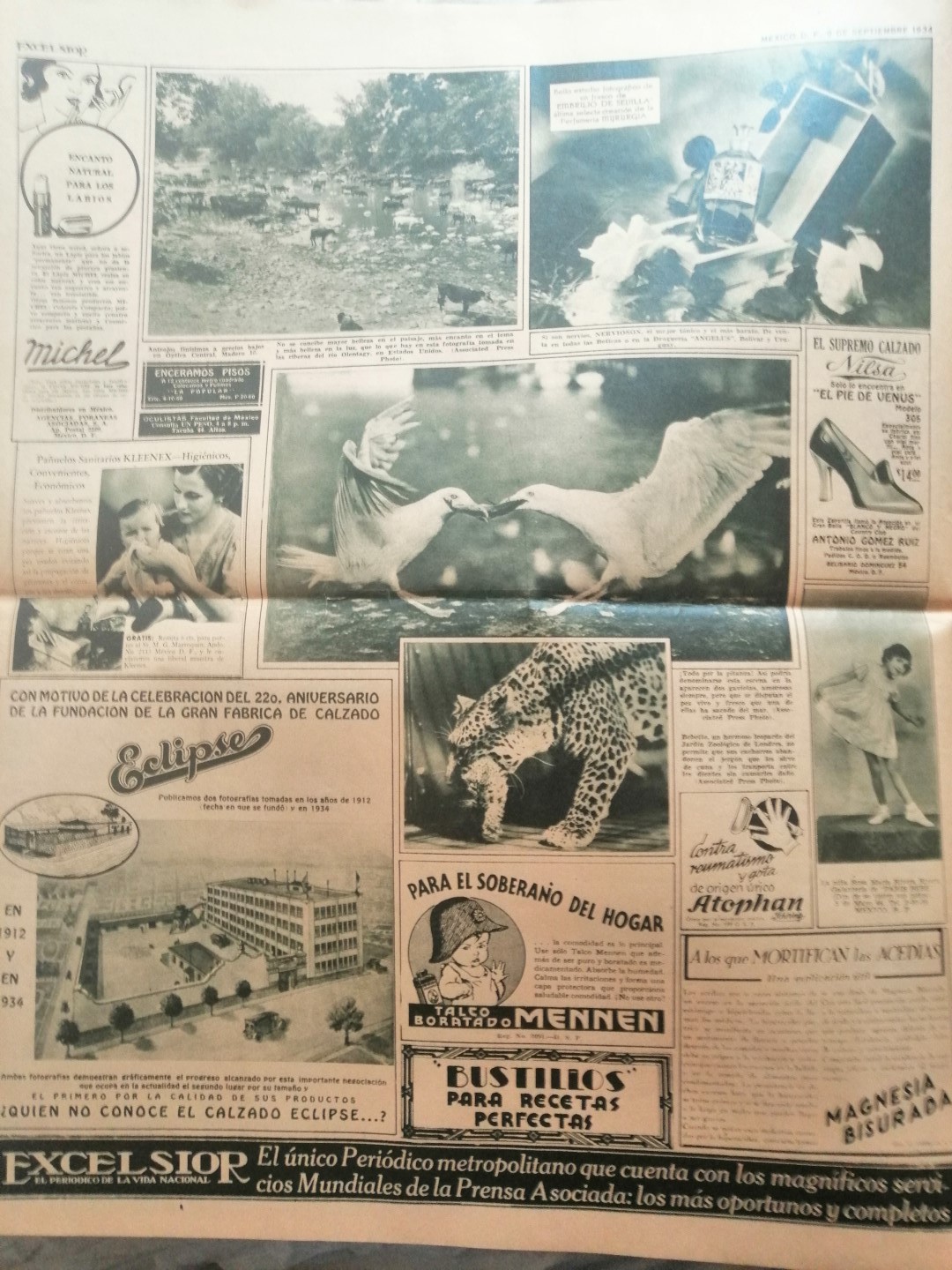 PERIODICO ANTIGUO EXCELSIOR 1934 No. 717 - Image 2