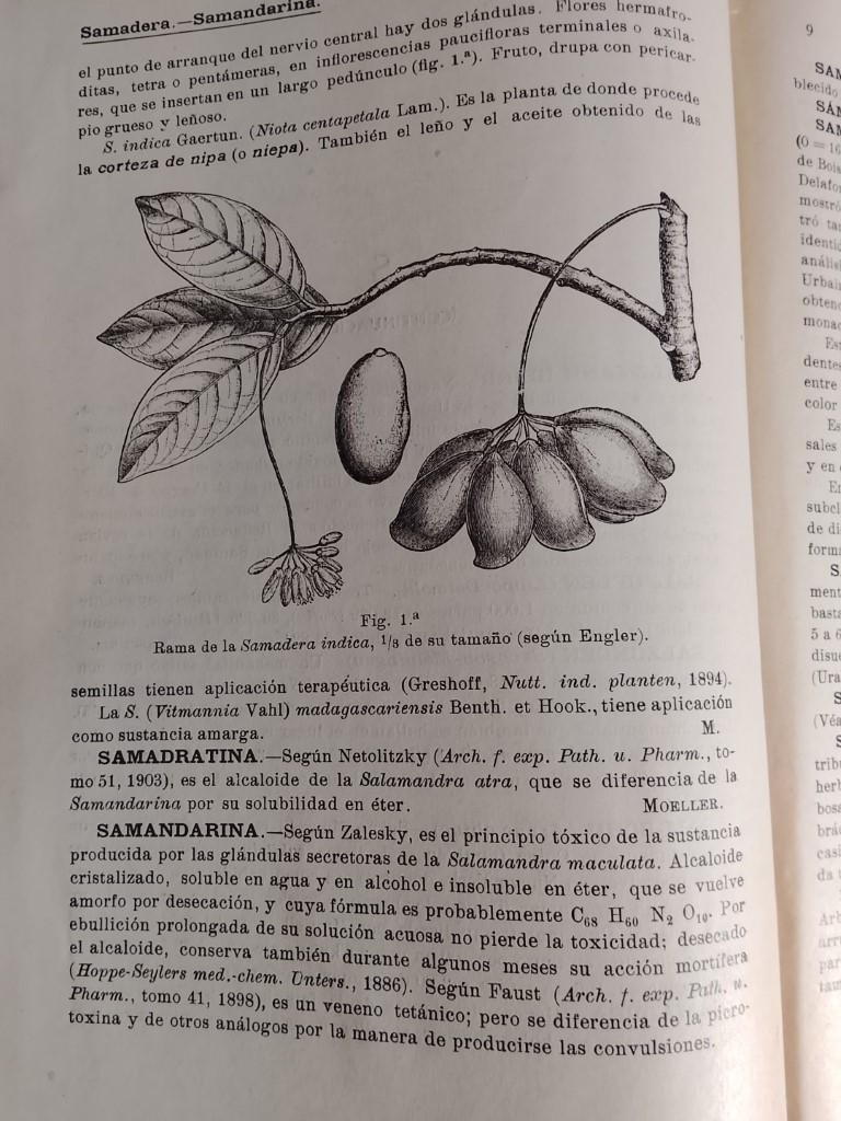 Antigua Enciclopedia de farmacia 1916 Joseph Moeller 11 Tomos (incompleta) - Image 11