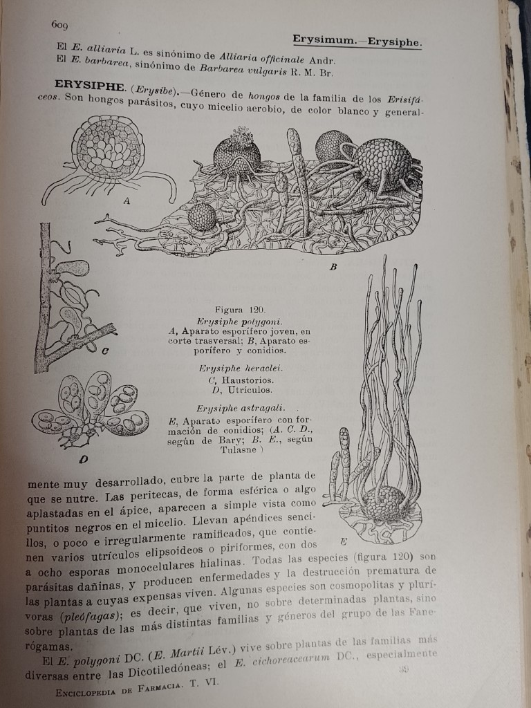 Antigua Enciclopedia de farmacia 1916 Joseph Moeller 11 Tomos (incompleta) - Image 12