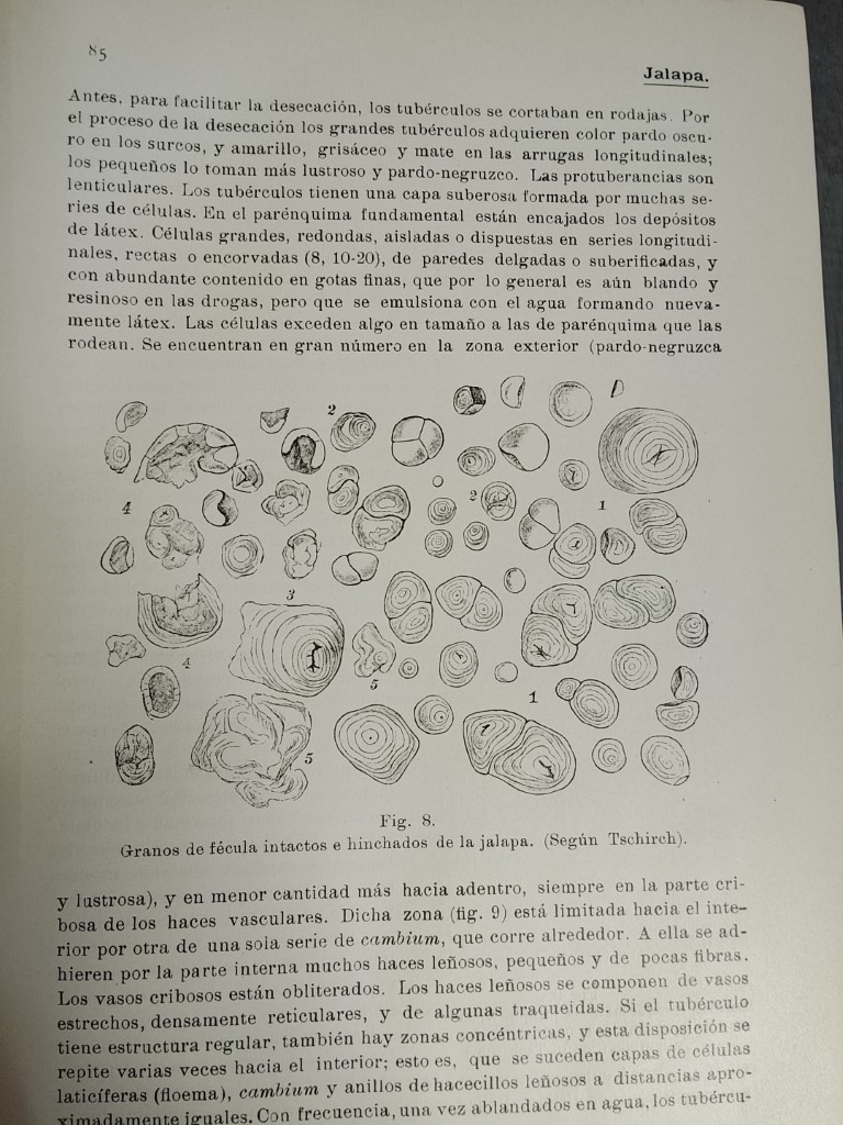 Antigua Enciclopedia de farmacia 1916 Joseph Moeller 11 Tomos (incompleta) - Image 6